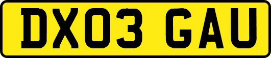 DX03GAU
