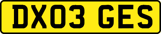 DX03GES
