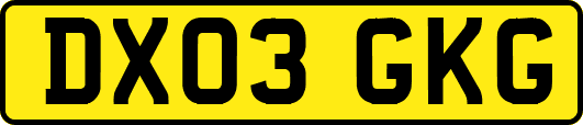DX03GKG