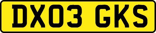 DX03GKS