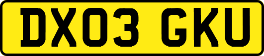 DX03GKU