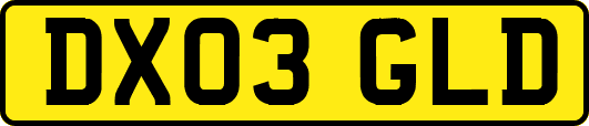 DX03GLD