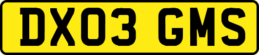 DX03GMS