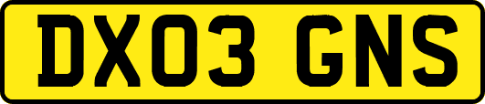 DX03GNS