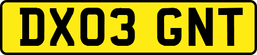 DX03GNT