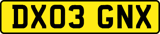 DX03GNX