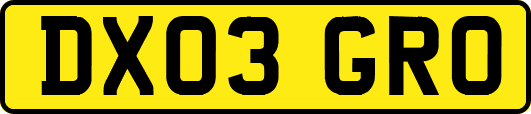 DX03GRO