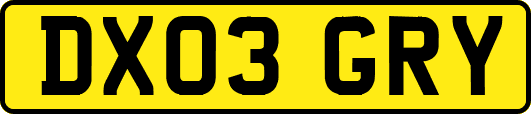 DX03GRY