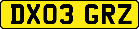 DX03GRZ