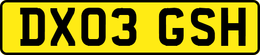 DX03GSH
