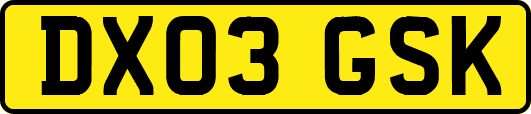 DX03GSK