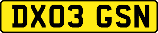 DX03GSN
