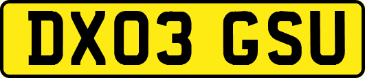 DX03GSU