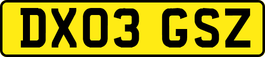 DX03GSZ