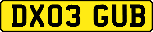 DX03GUB