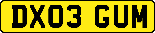 DX03GUM