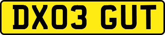DX03GUT