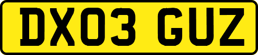 DX03GUZ