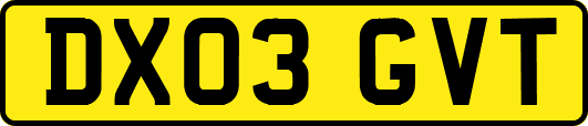DX03GVT