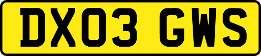 DX03GWS