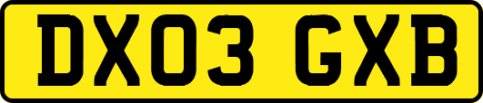 DX03GXB