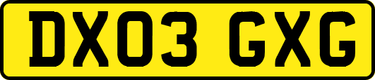 DX03GXG