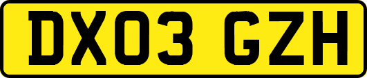 DX03GZH