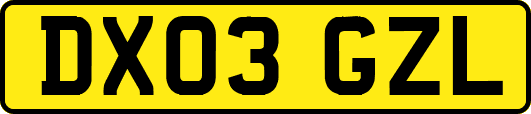 DX03GZL