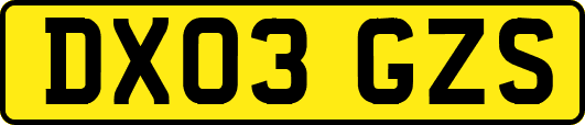 DX03GZS