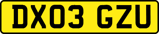 DX03GZU