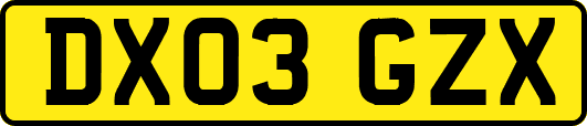 DX03GZX