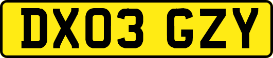 DX03GZY