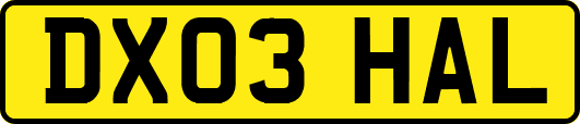 DX03HAL
