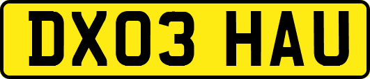 DX03HAU