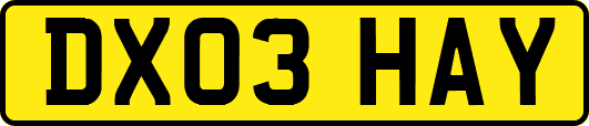 DX03HAY