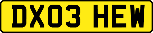 DX03HEW