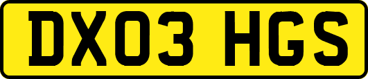 DX03HGS