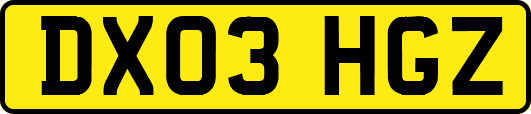 DX03HGZ