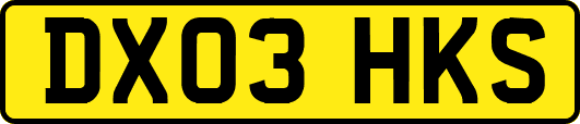 DX03HKS