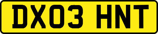 DX03HNT