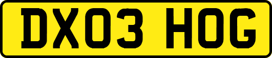 DX03HOG