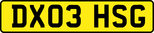 DX03HSG