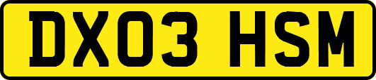 DX03HSM