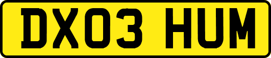 DX03HUM