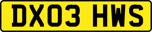 DX03HWS