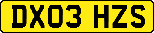 DX03HZS
