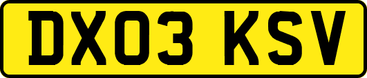 DX03KSV