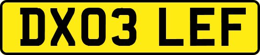 DX03LEF