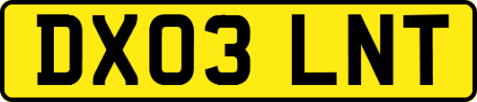 DX03LNT