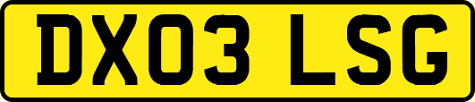 DX03LSG